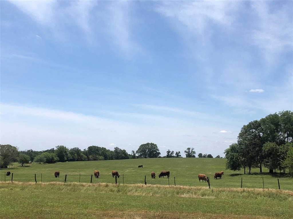 70.15 acres in Wood County featured view