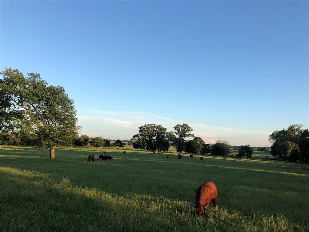 70.15 acres in Wood County gallery image 2