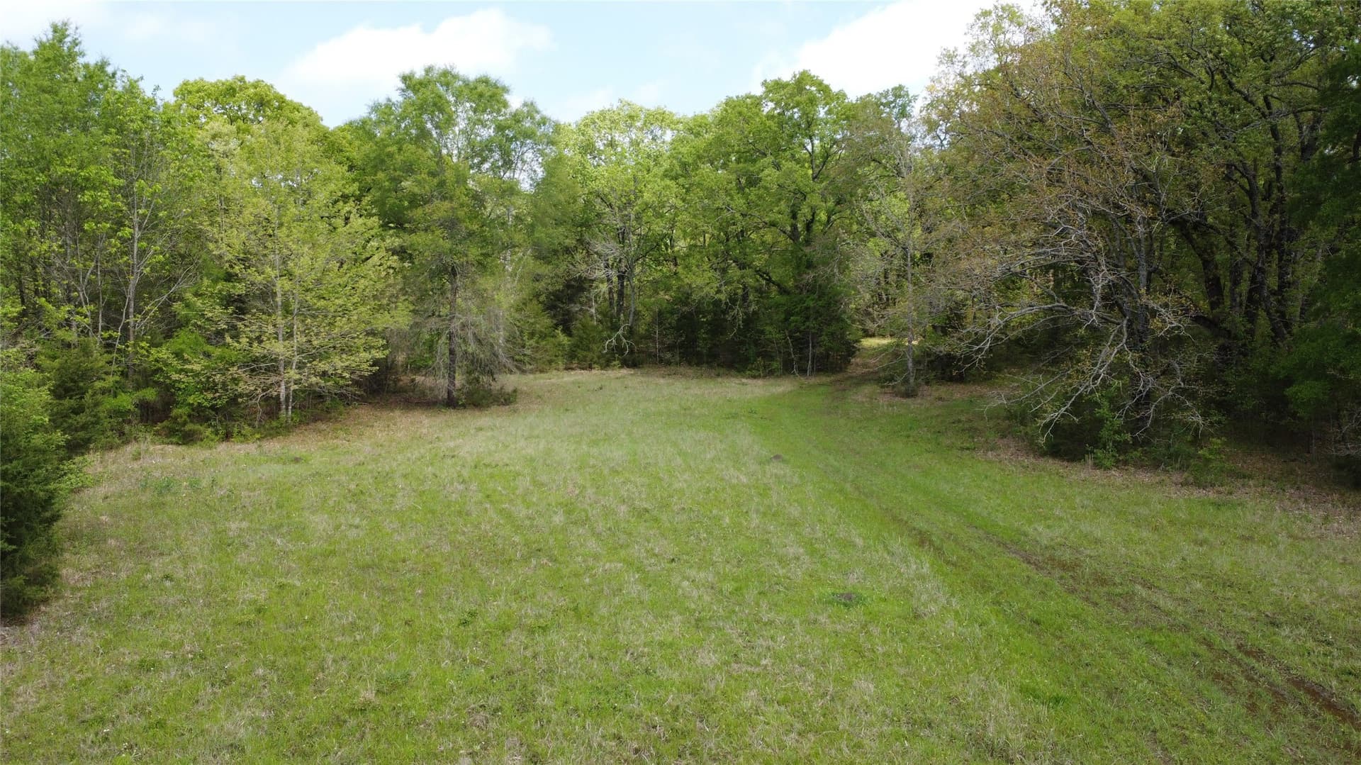 115.99 acres in Franklin (TX) County - photo 24