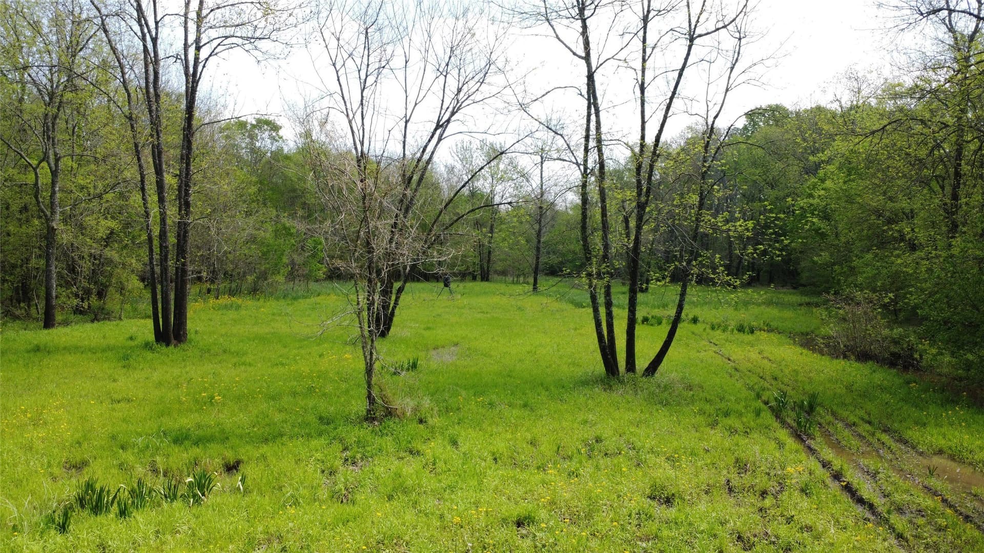 115.99 acres in Franklin (TX) County gallery image 3