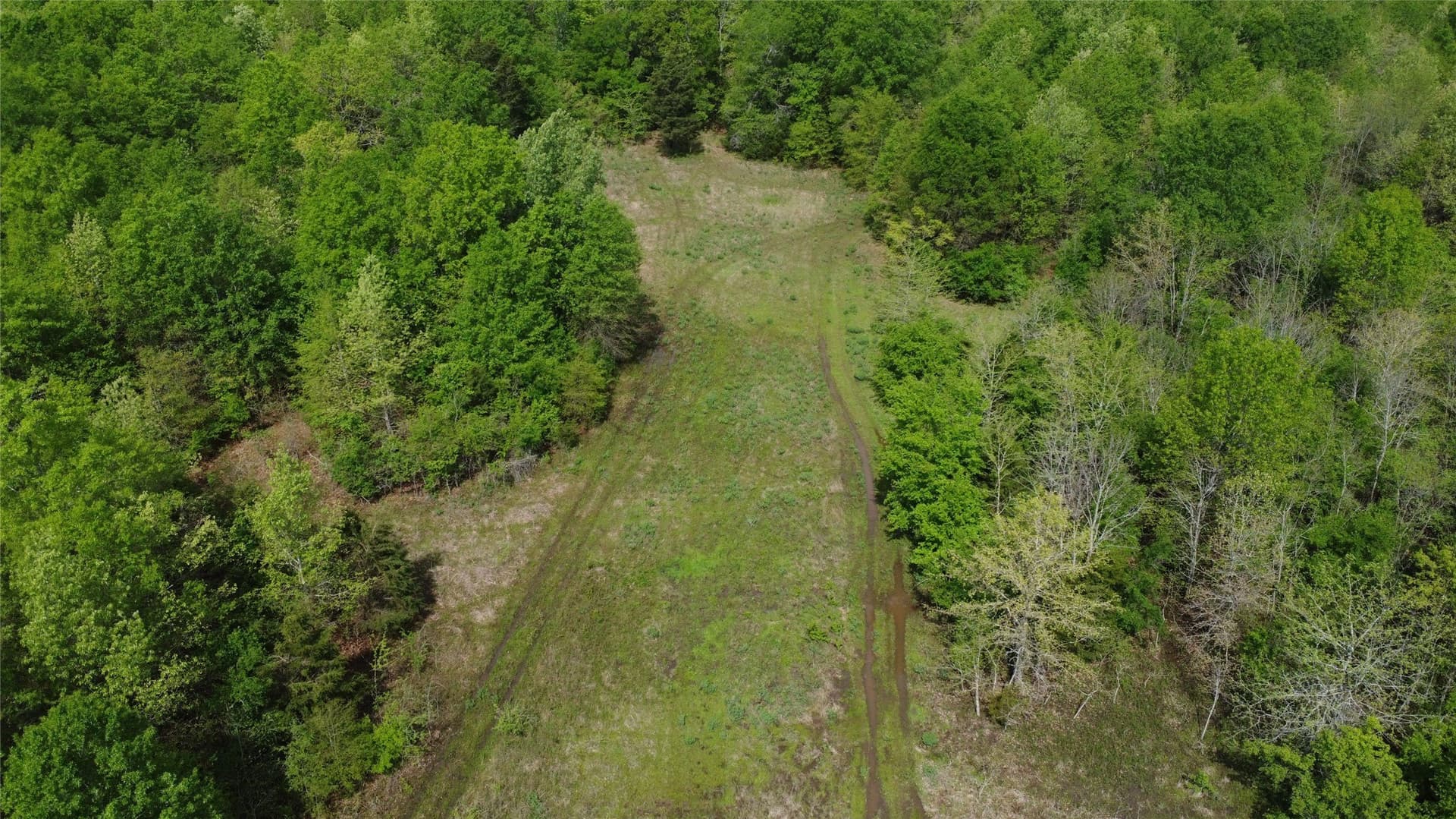 115.99 acres in Franklin (TX) County - photo 21
