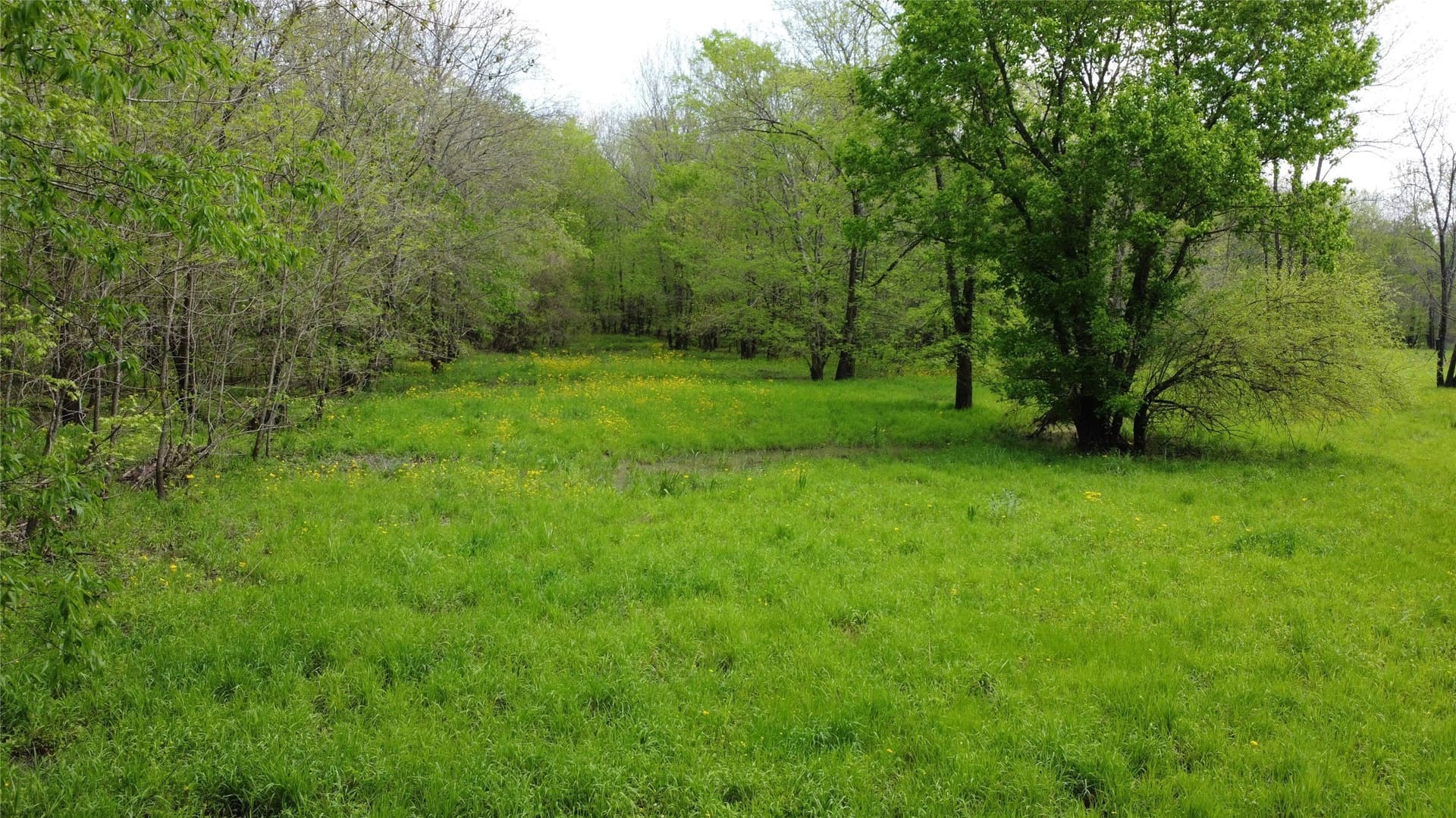 115.99 acres in Franklin (TX) County - photo 7