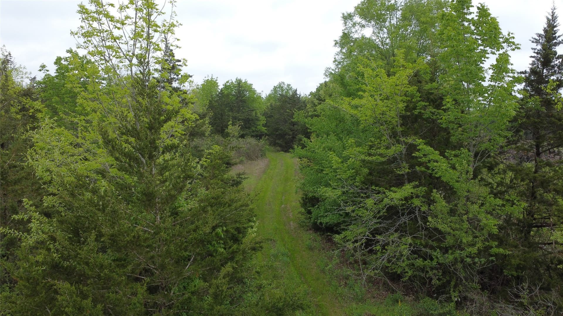 115.99 acres in Franklin (TX) County - photo 9