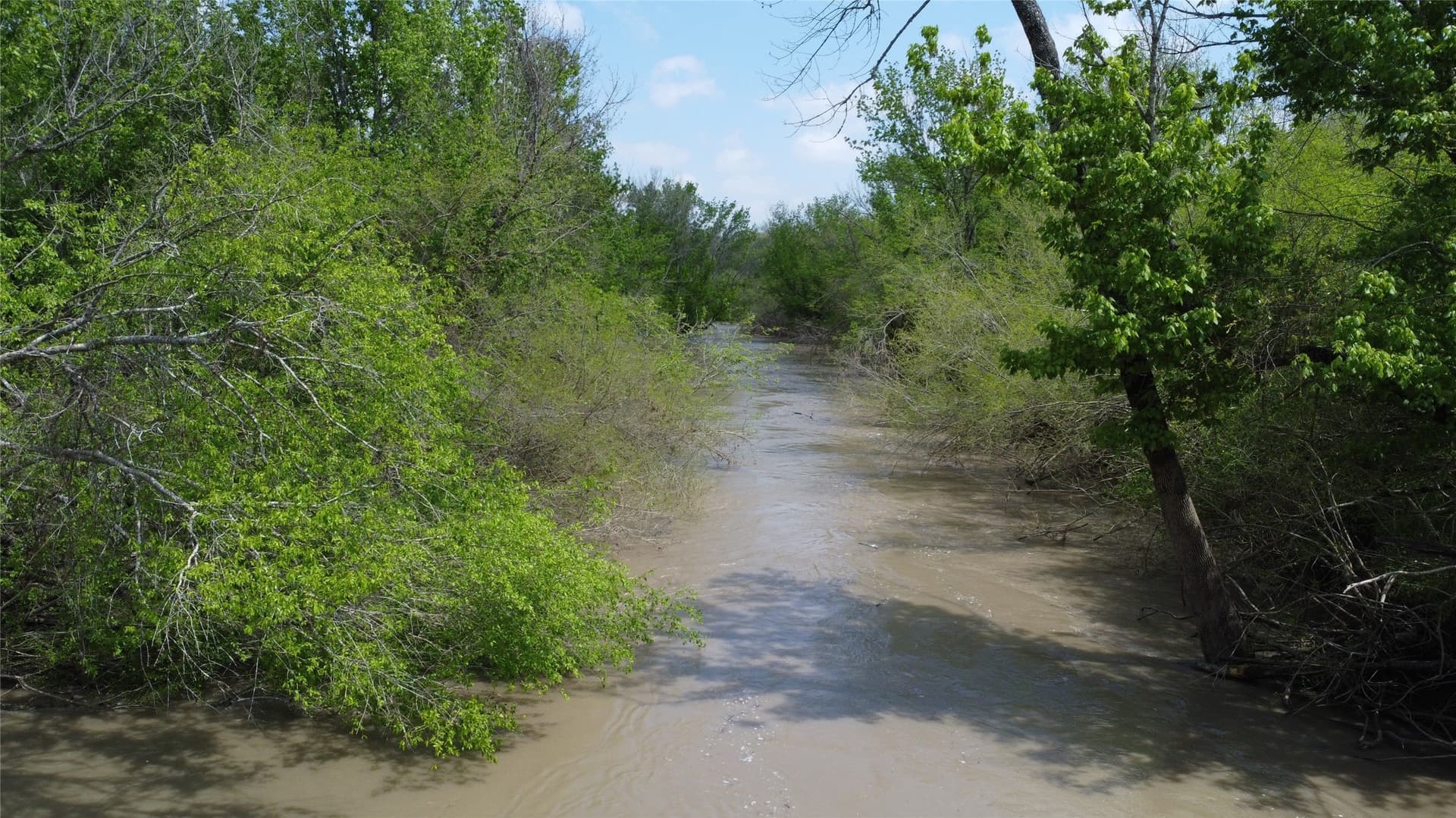 115.99 acres in Franklin (TX) County - photo 11