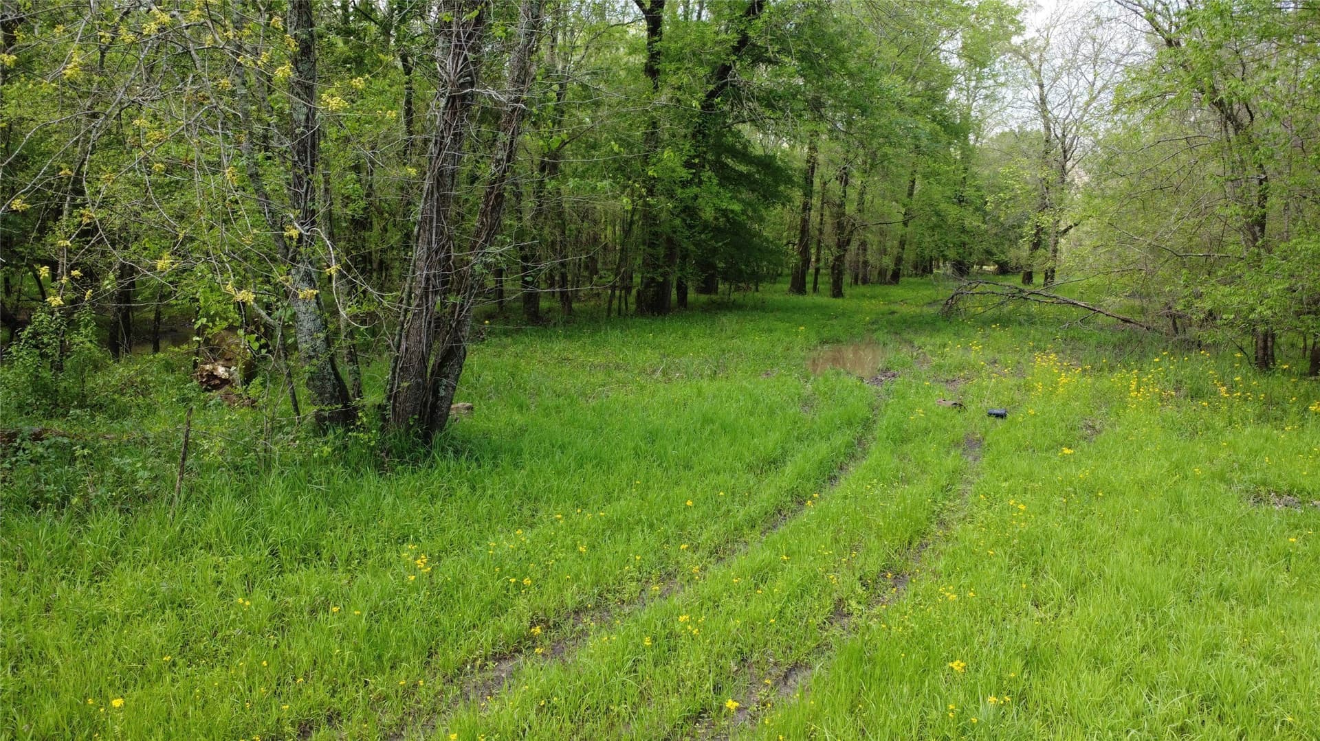 115.99 acres in Franklin (TX) County gallery image 4