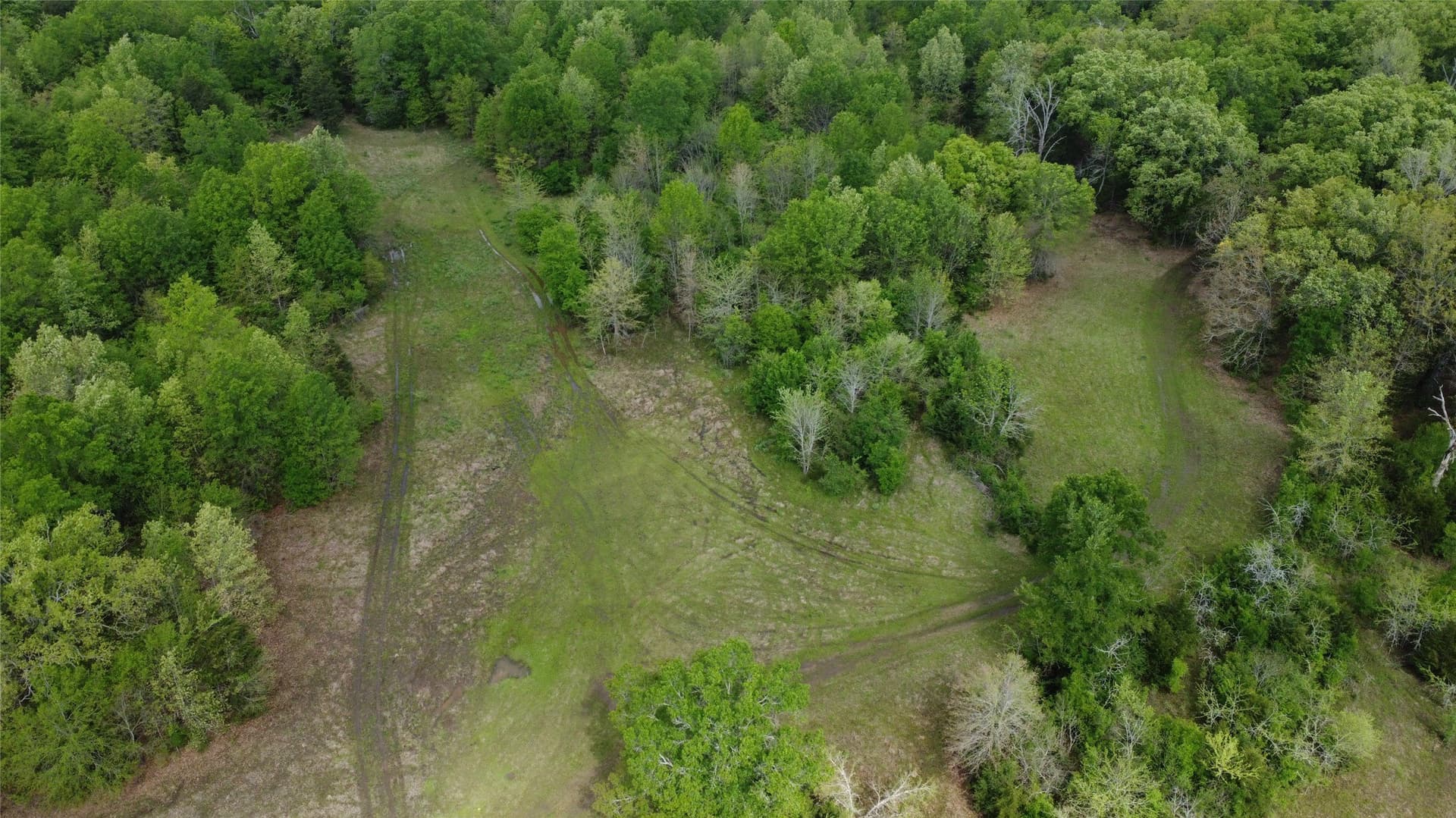 115.99 acres in Franklin (TX) County - photo 18