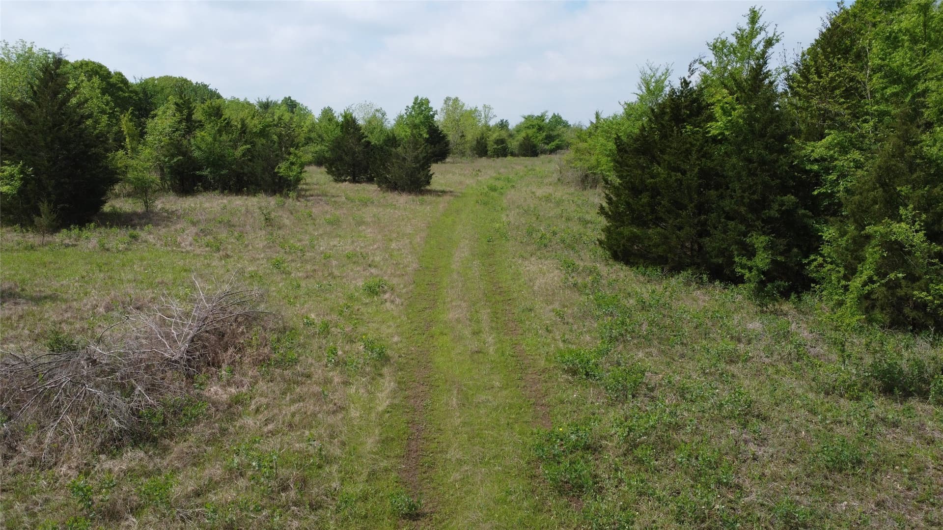 115.99 acres in Franklin (TX) County - photo 22