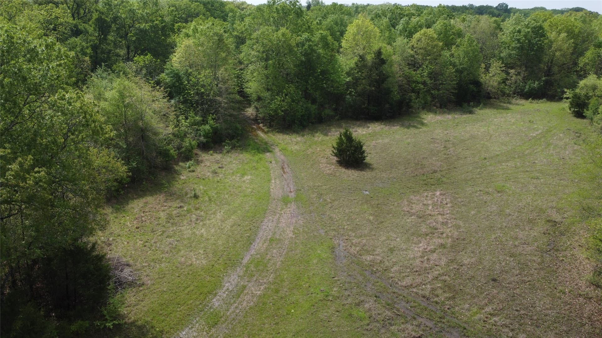 115.99 acres in Franklin (TX) County - photo 20