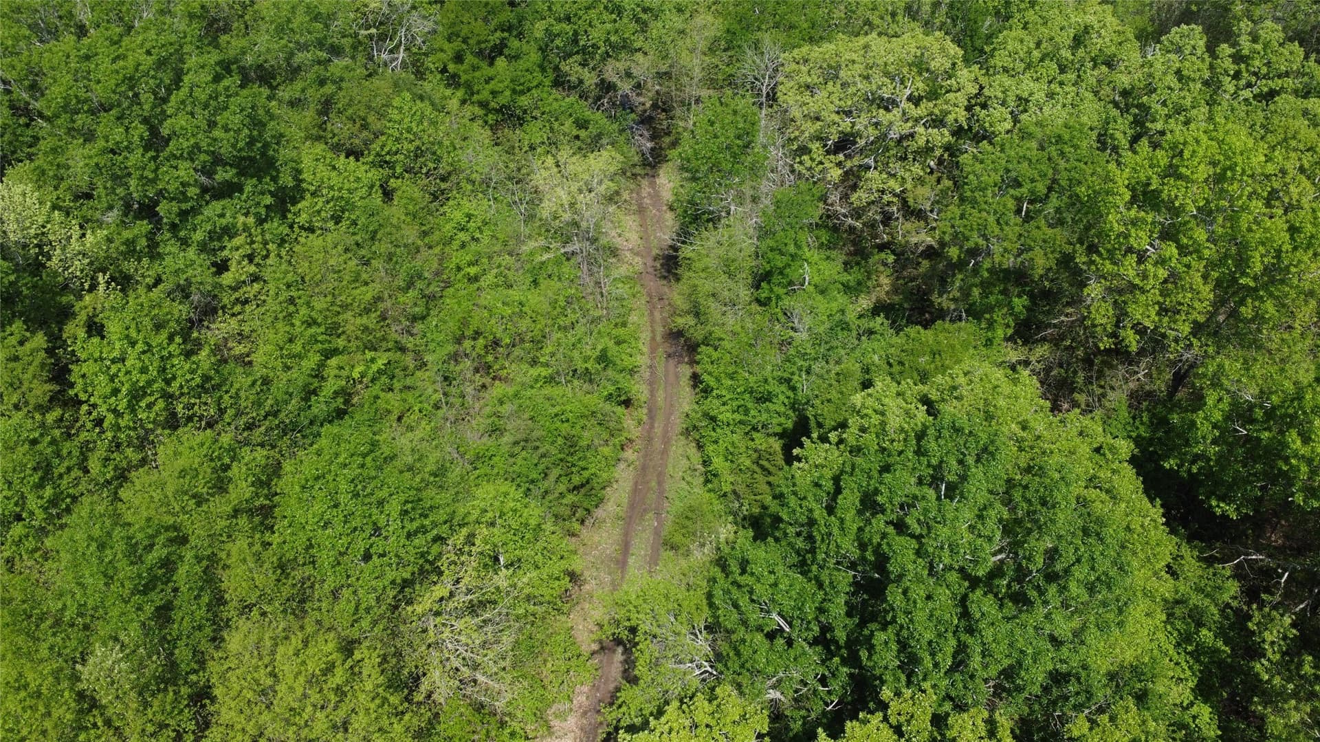 115.99 acres in Franklin (TX) County - photo 29