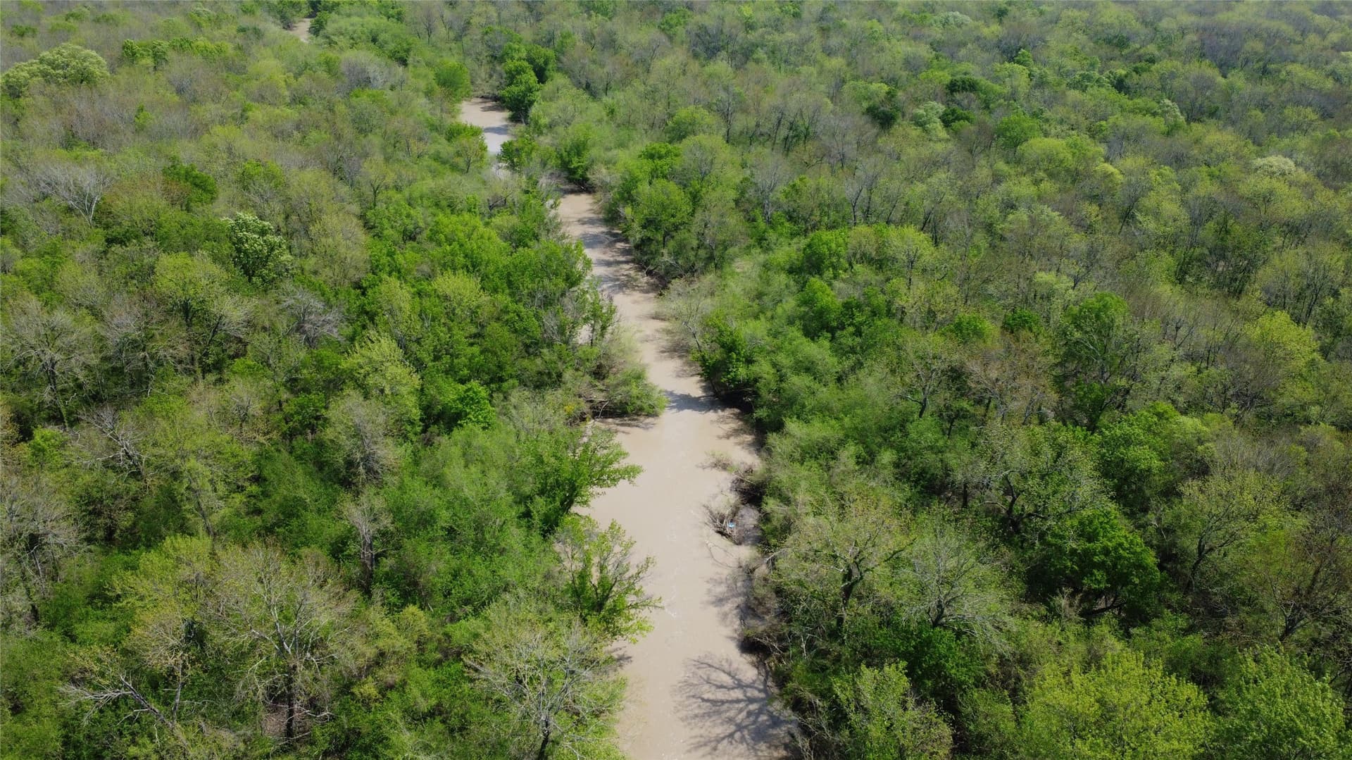 115.99 acres in Franklin (TX) County - photo 12