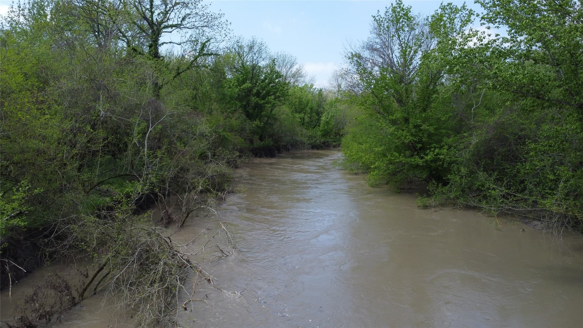 115.99 acres in Franklin (TX) County - photo 10