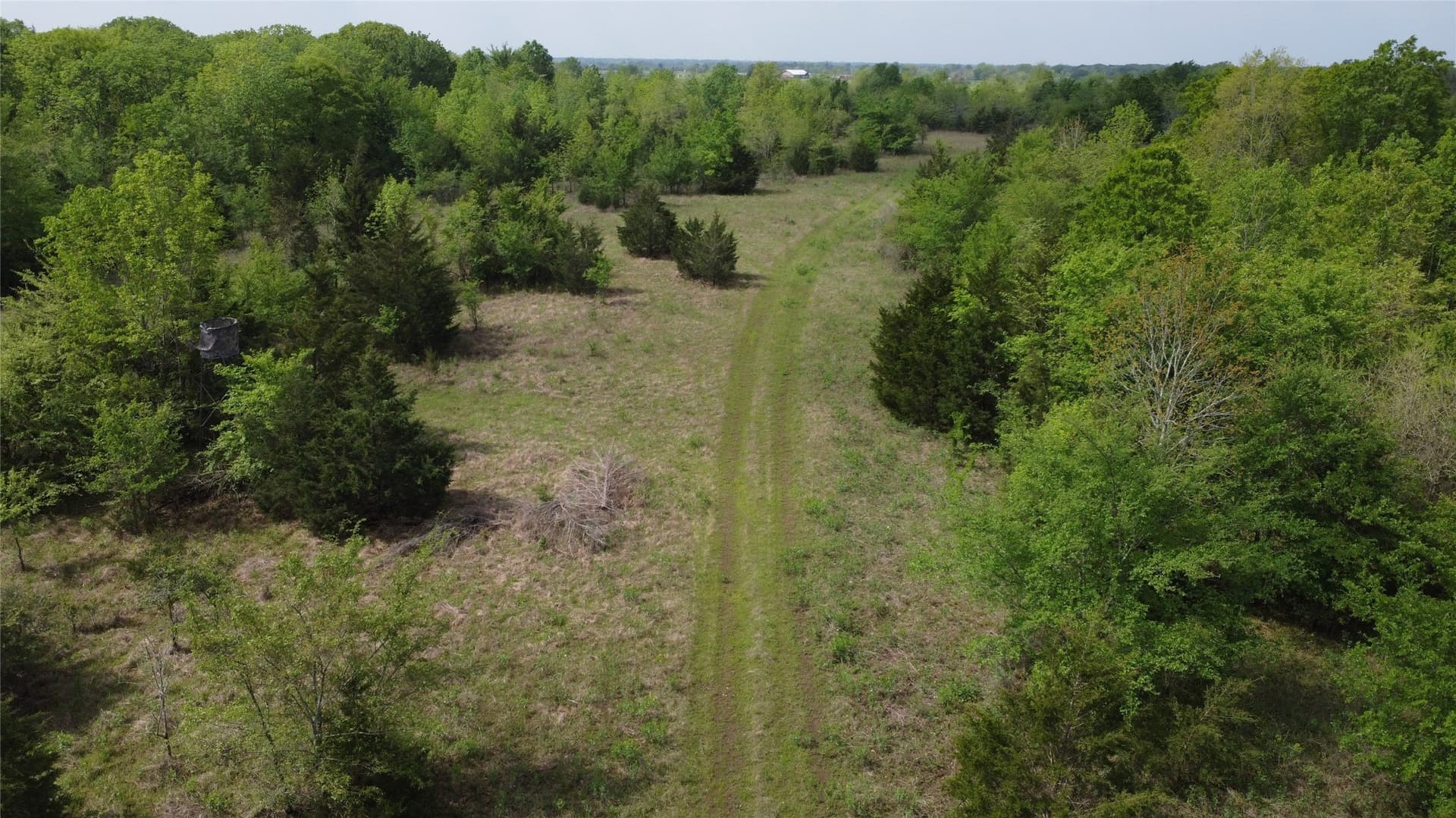 115.99 acres in Franklin (TX) County - photo 16