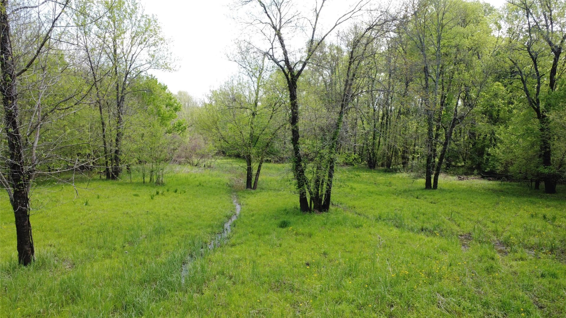 115.99 acres in Franklin (TX) County - photo 6