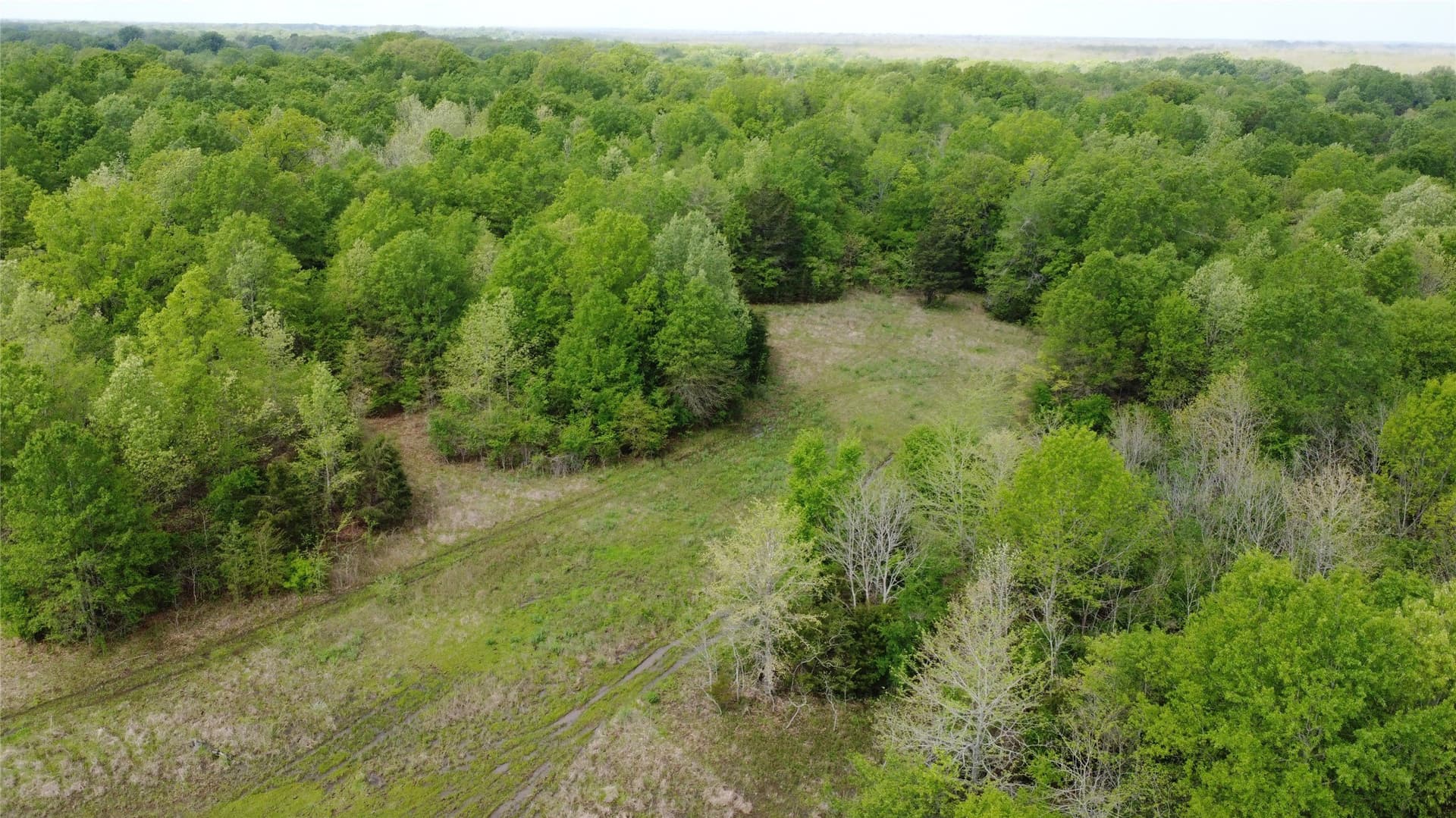 115.99 acres in Franklin (TX) County - photo 26
