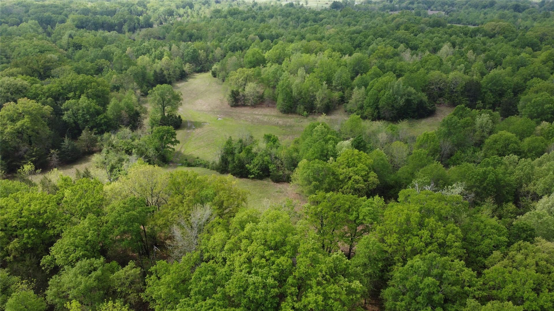 115.99 acres in Franklin (TX) County - photo 19