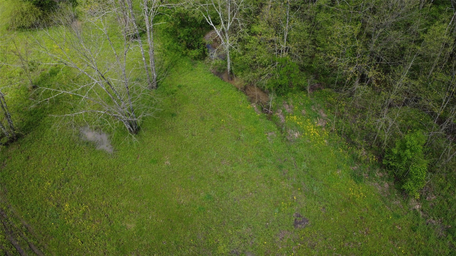 115.99 acres in Franklin (TX) County - photo 28