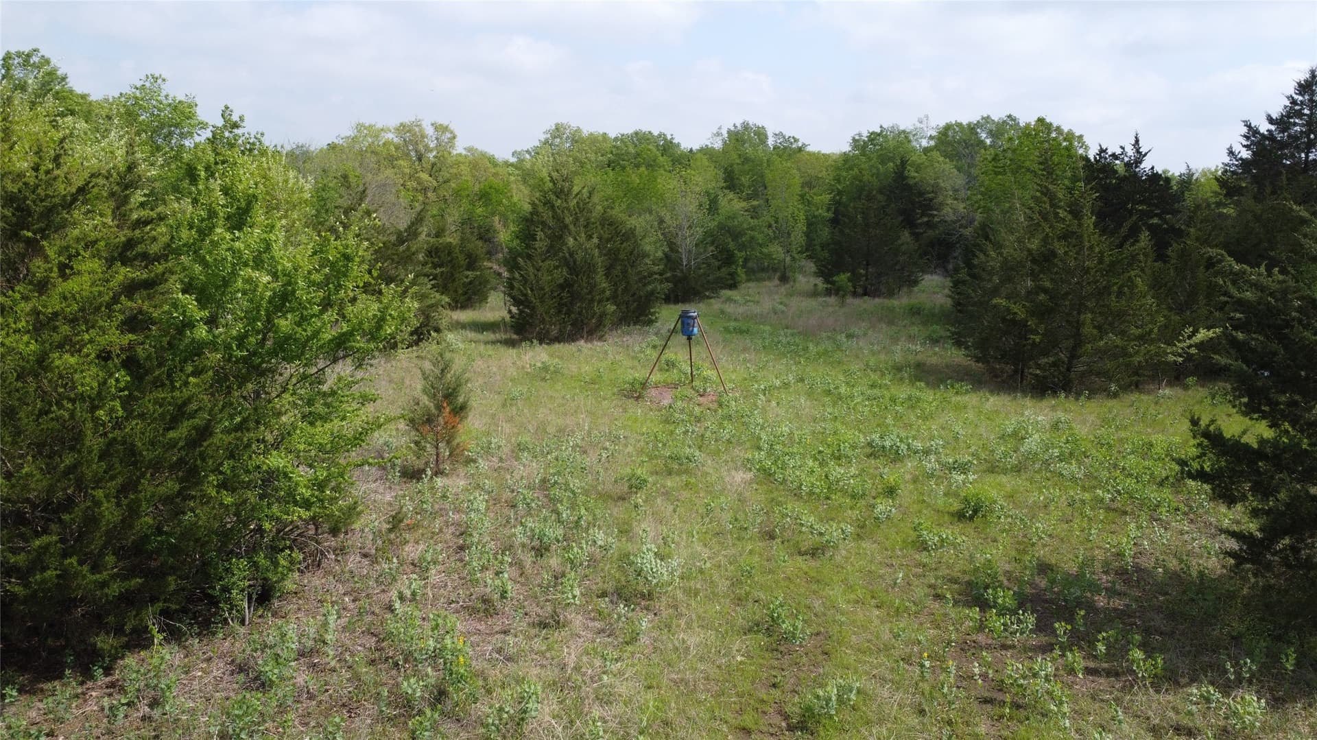 115.99 acres in Franklin (TX) County - photo 23