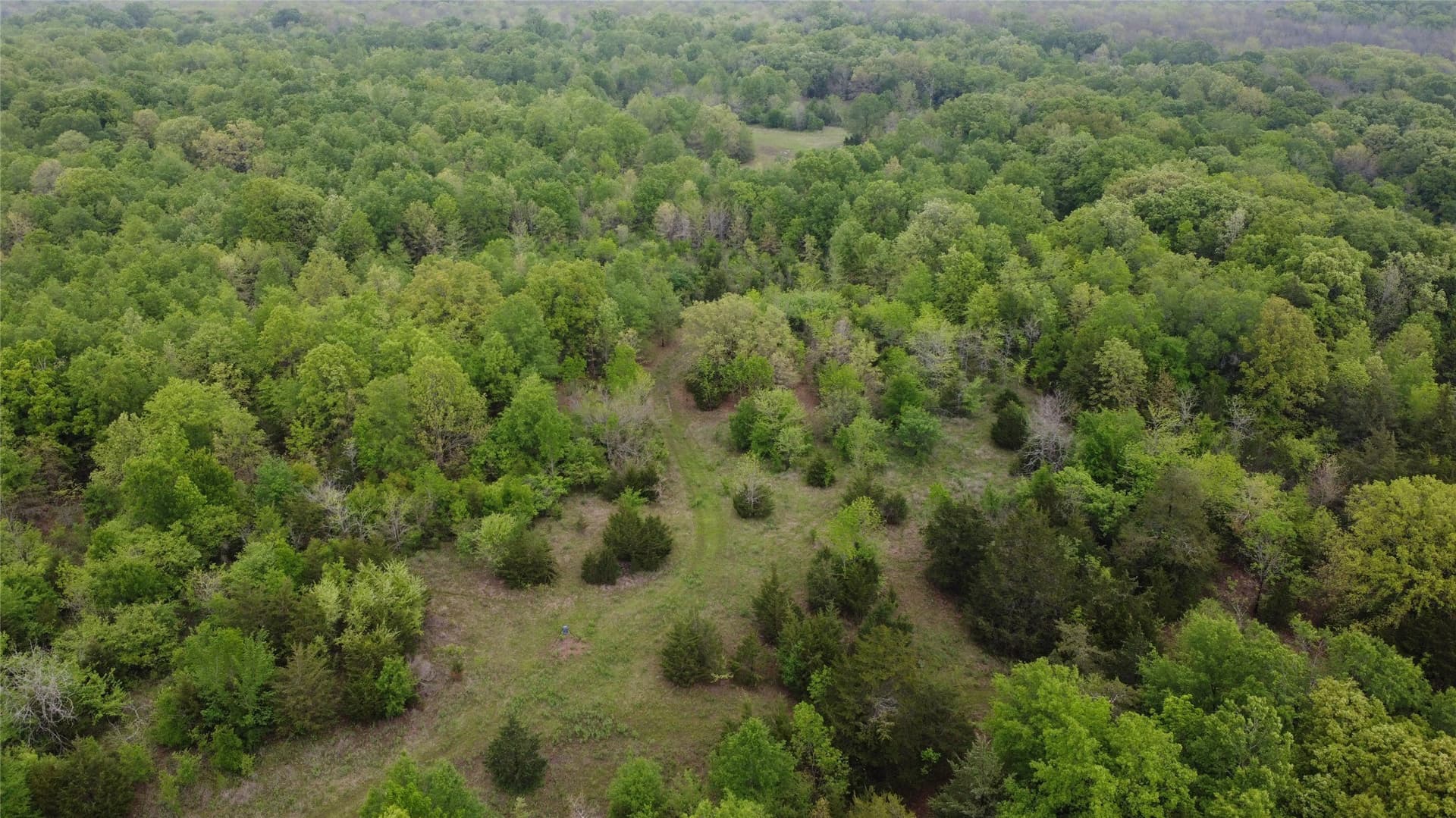 115.99 acres in Franklin (TX) County - photo 13
