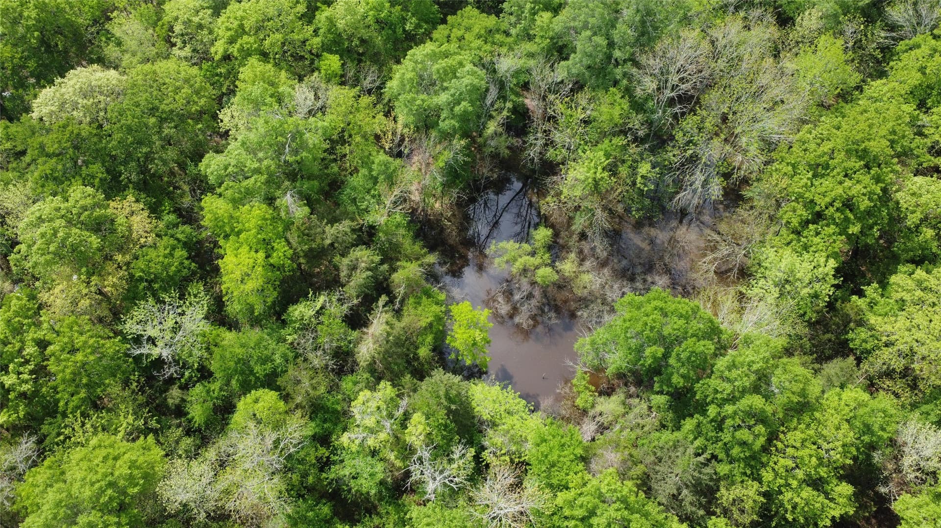 115.99 acres in Franklin (TX) County - photo 17