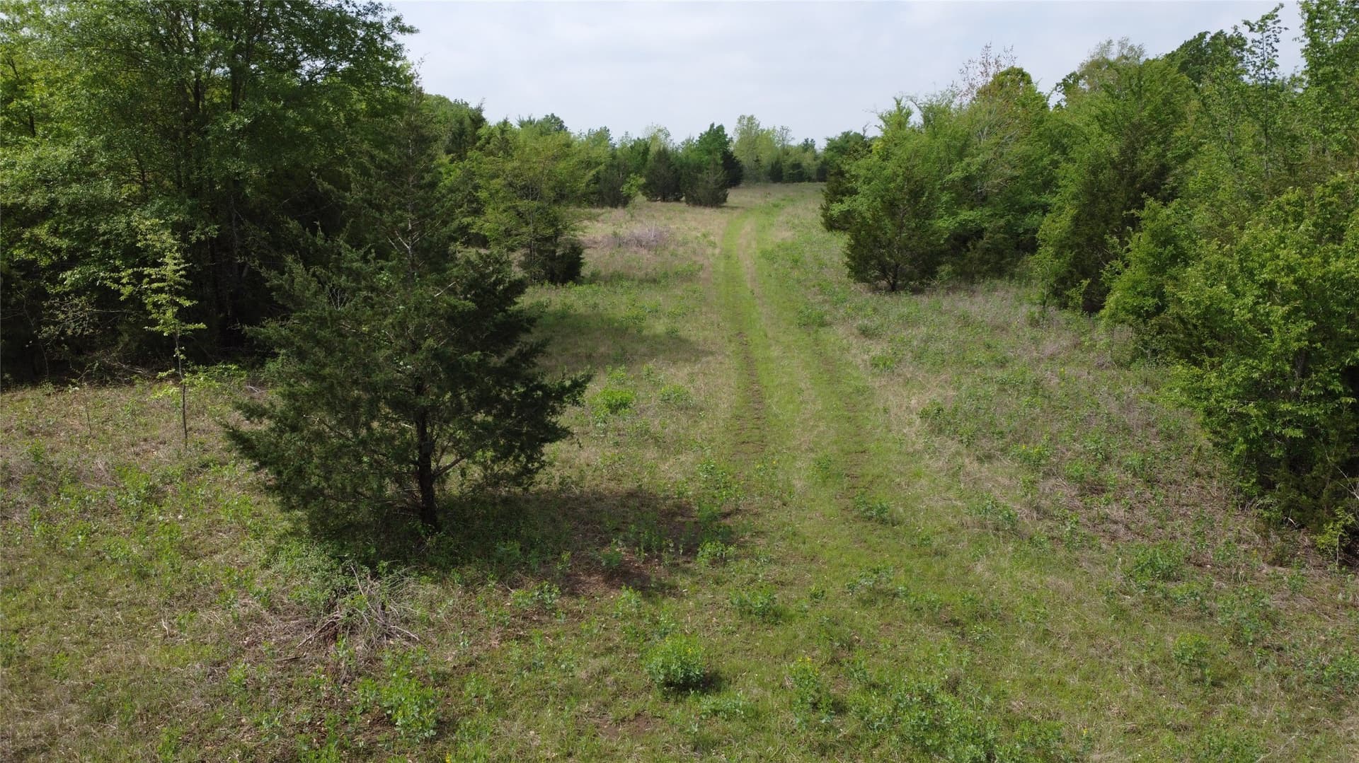 115.99 acres in Franklin (TX) County - photo 15