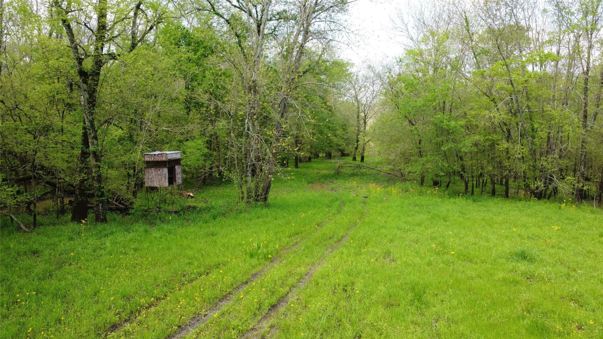115.99 acres in Franklin (TX) County gallery image 2