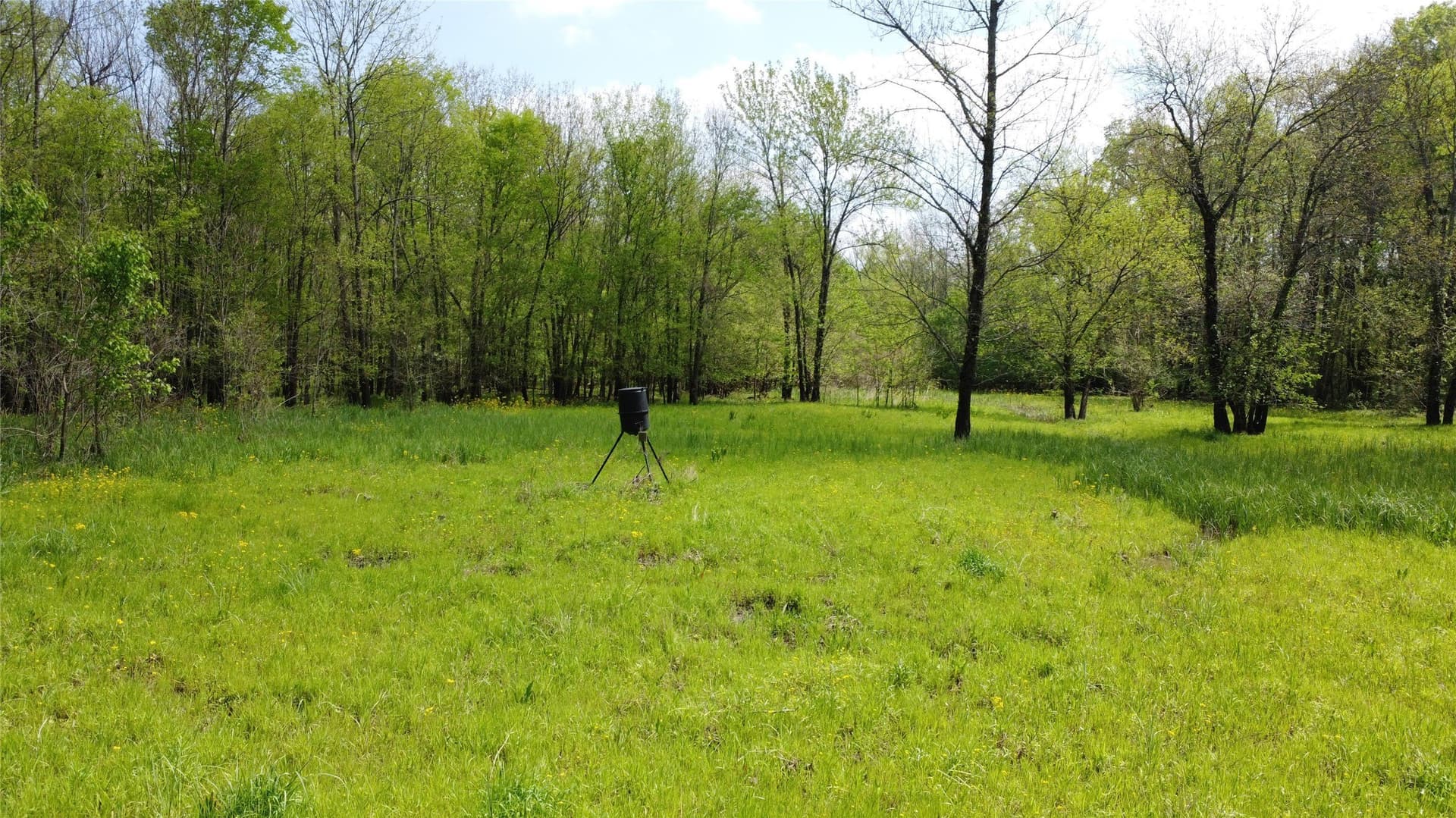 115.99 acres in Franklin (TX) County featured view