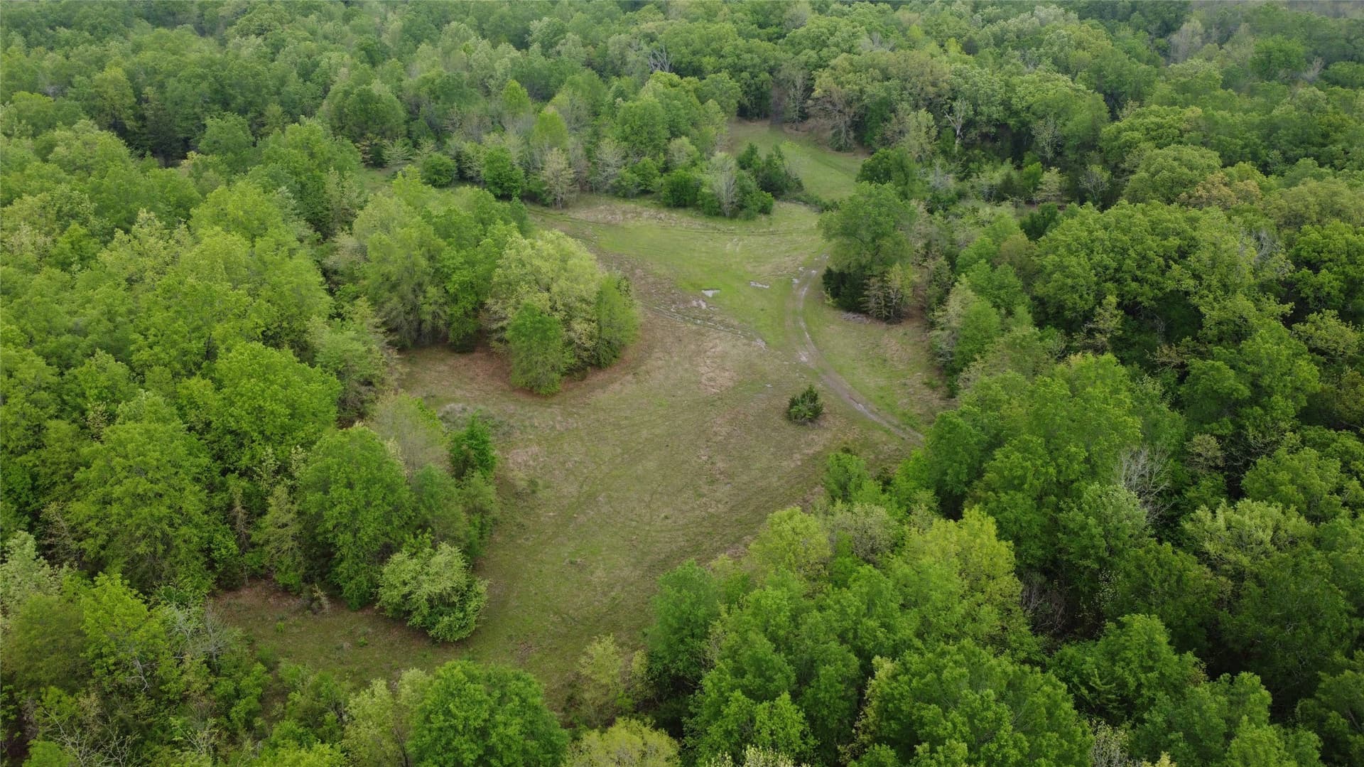 115.99 acres in Franklin (TX) County - photo 14