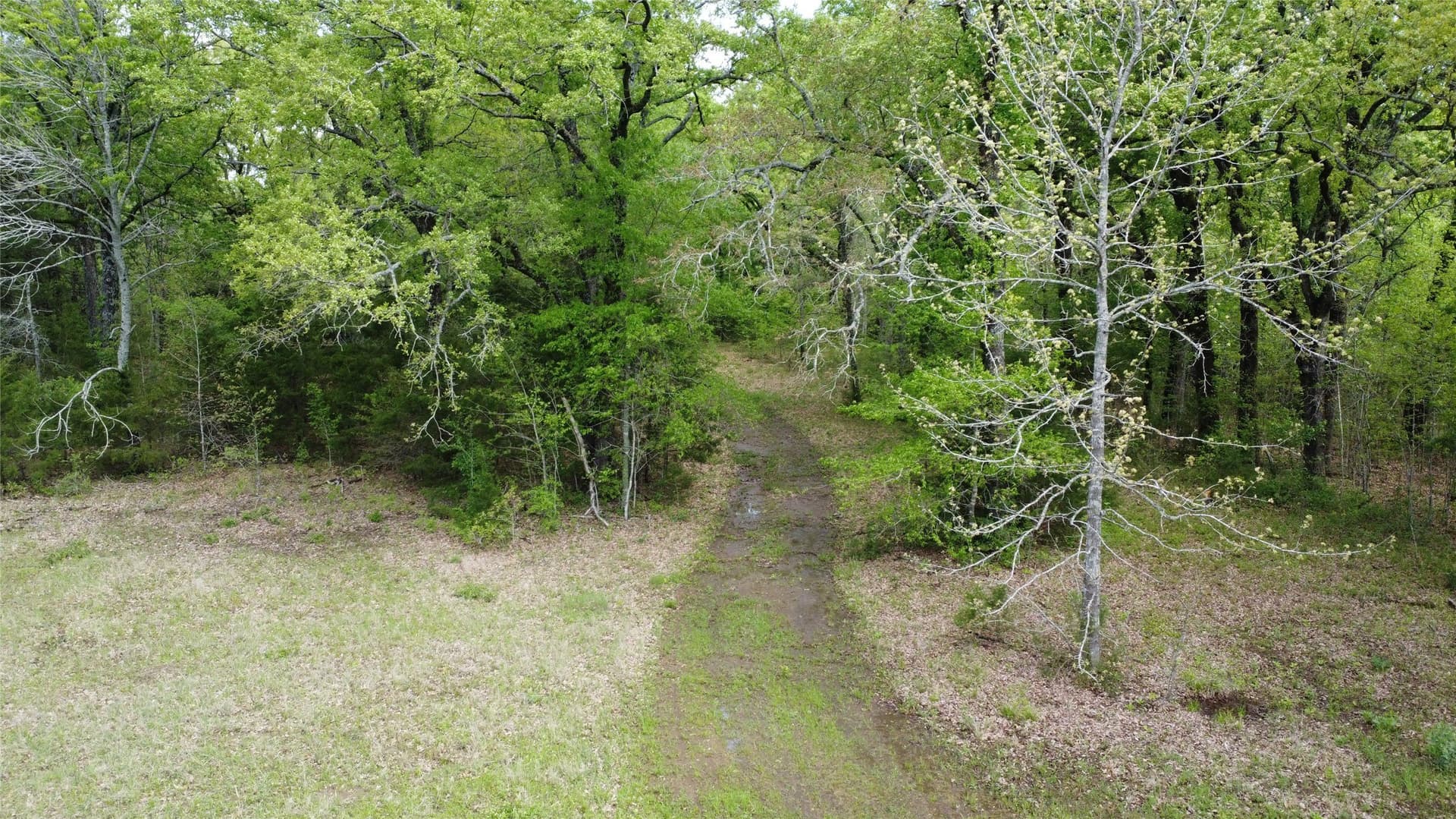 115.99 acres in Franklin (TX) County - photo 27