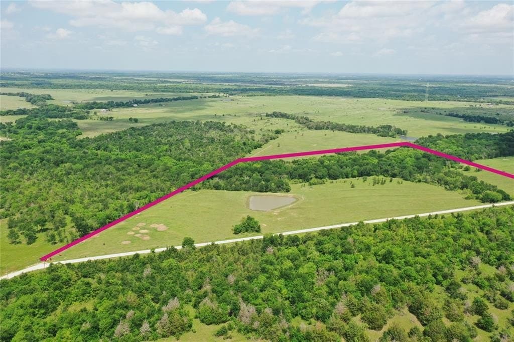 30 acres in Freestone County gallery image 2
