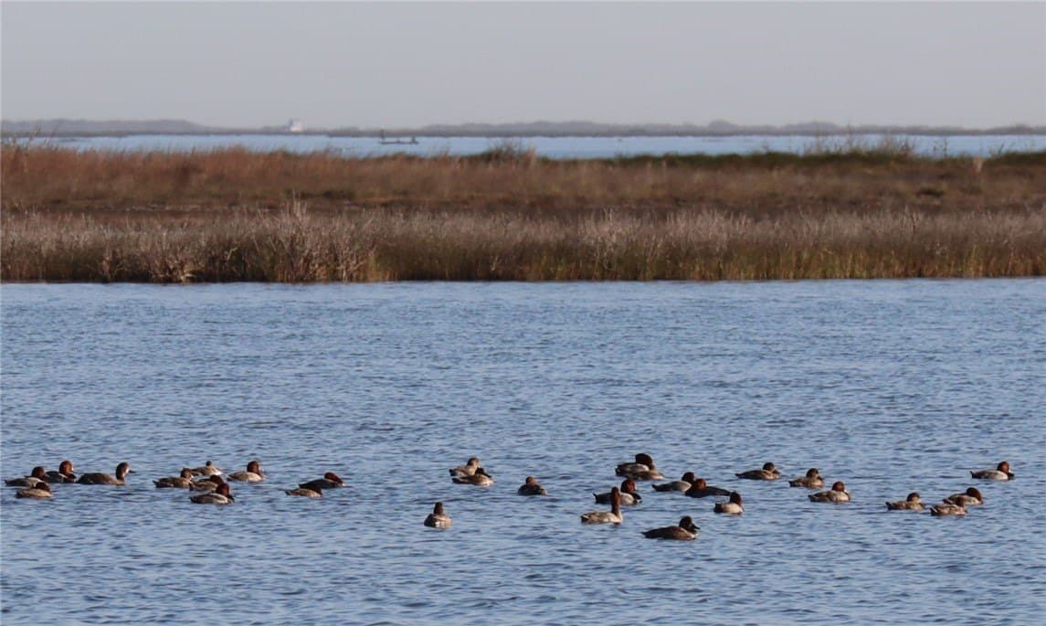 4.3 acres in Aransas County - photo 9