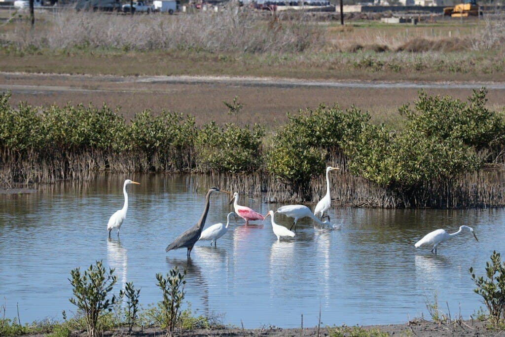 4.3 acres in Aransas County - photo 8