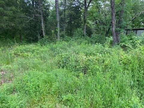 0.15 acres in Henderson County