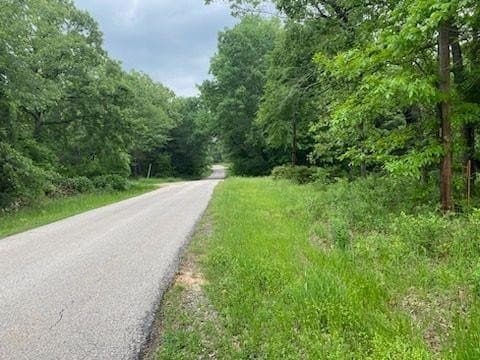 0.15 acres in Henderson County gallery image 4