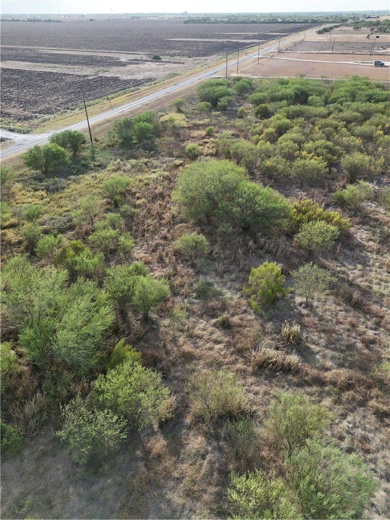 10.06 acres in Jim Wells County - photo 8