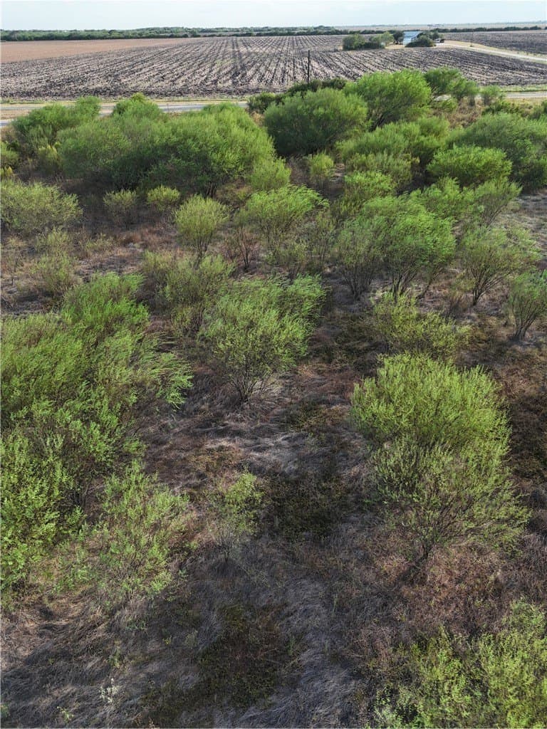 10.06 acres in Jim Wells County - photo 13