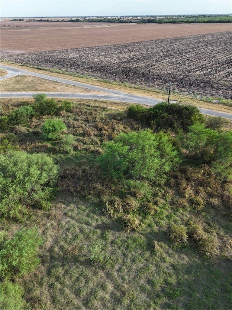 10.06 acres in Jim Wells County - photo 9