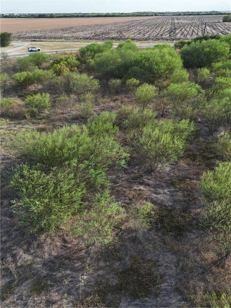 10.06 acres in Jim Wells County - photo 12