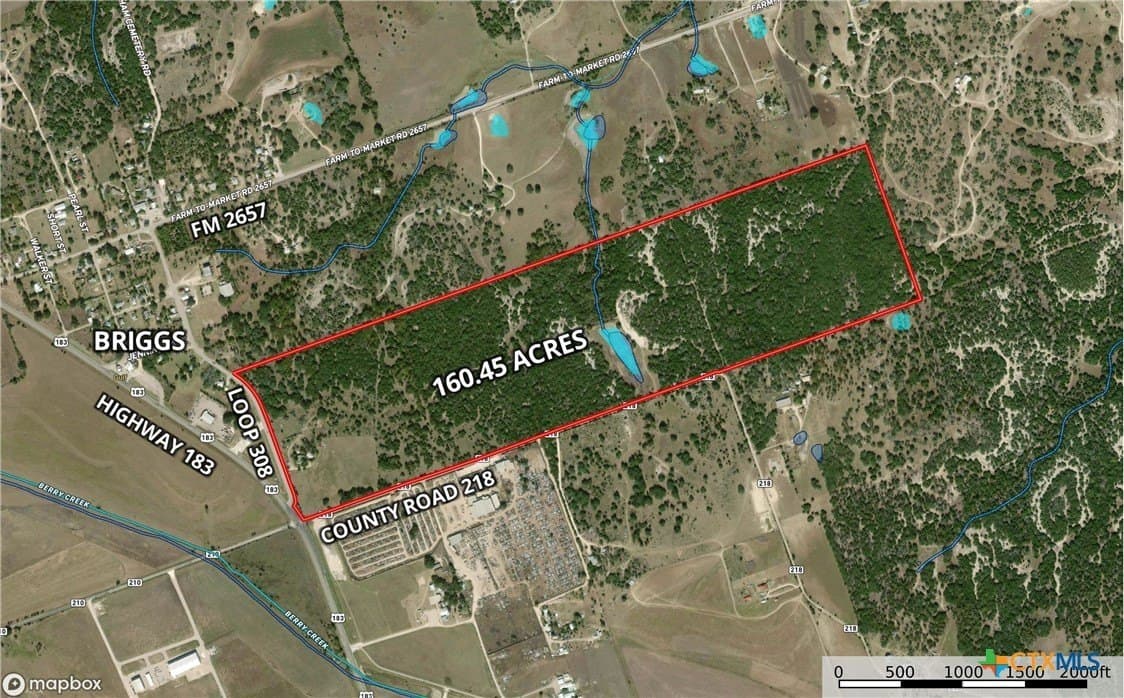 160.45 acres in Burnet County - photo 7
