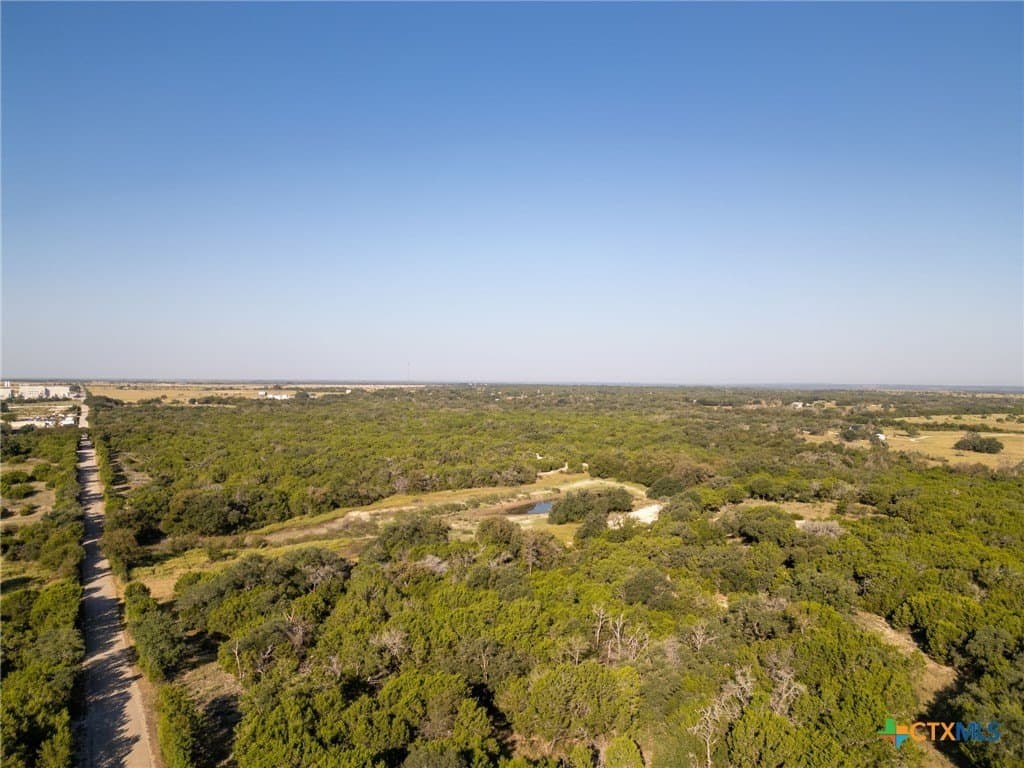 160.45 acres in Burnet County - photo 19