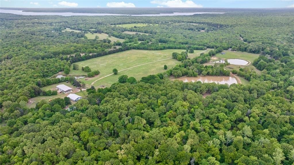398.78 acres in Lamar County featured view