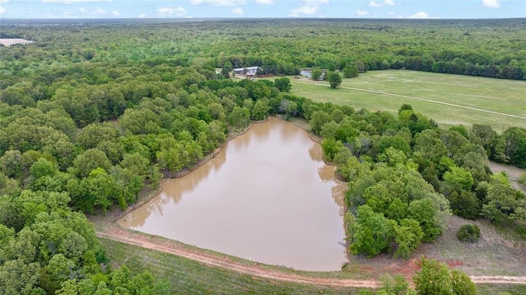 398.78 acres in Lamar County gallery image 4