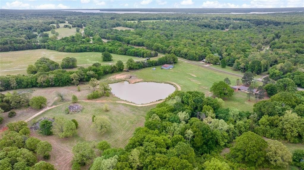 398.78 acres in Lamar County gallery image 3