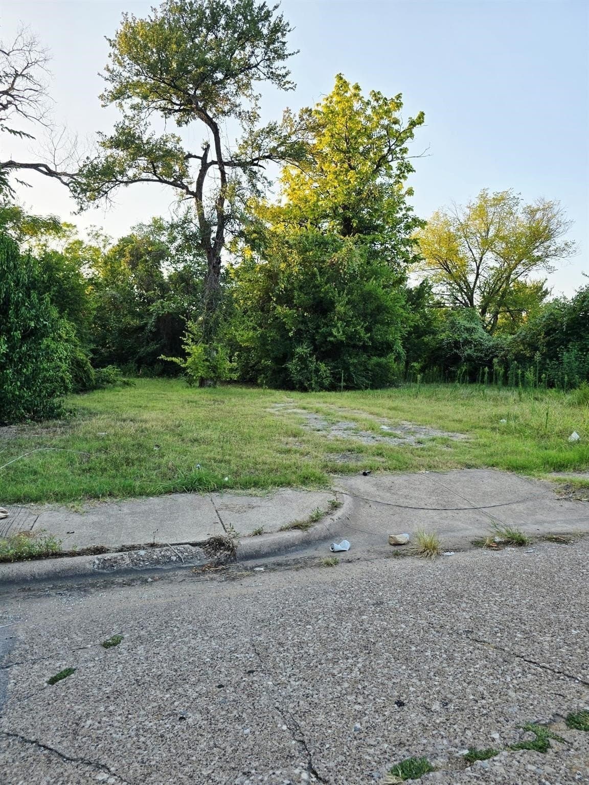 0.06 acres in Dallas County
