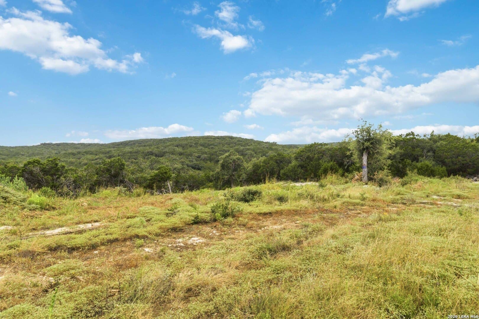 1.77 acres in Comal County gallery image 4