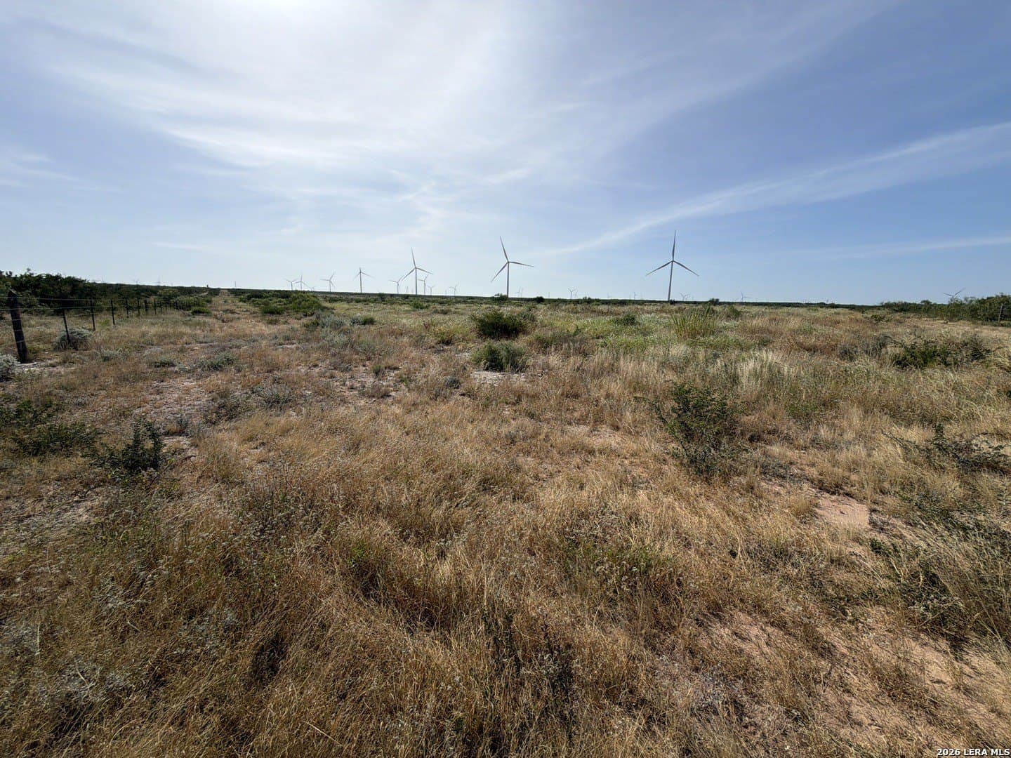 80.08 acres in Webb County gallery image 4