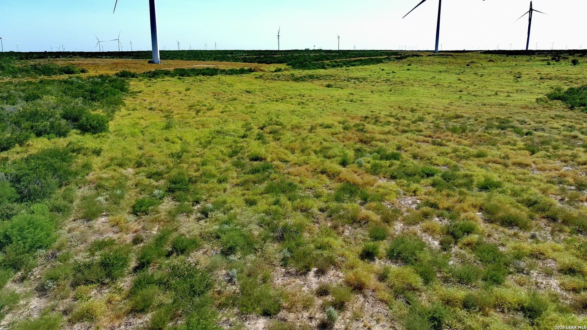 80.08 acres in Webb County gallery image 3