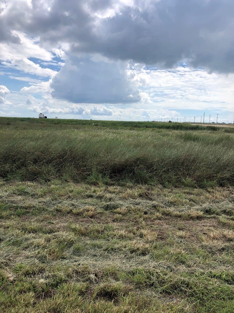 0.21 acres in Palacios Area County gallery image 2
