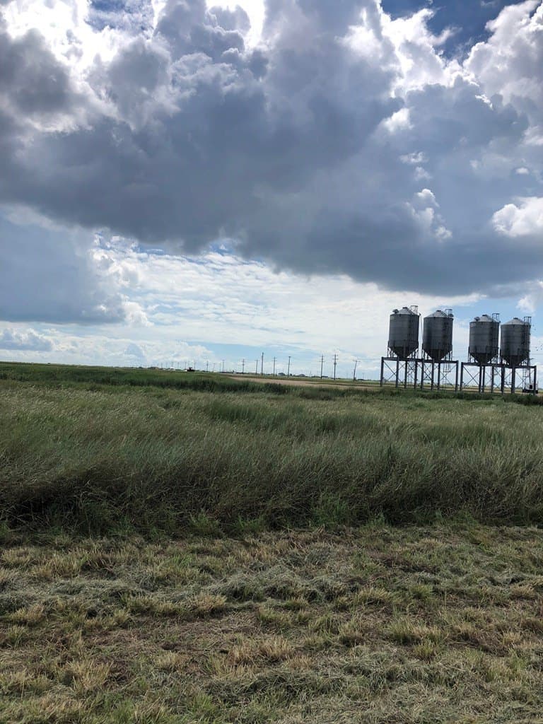 0.21 acres in Palacios Area County gallery image 3