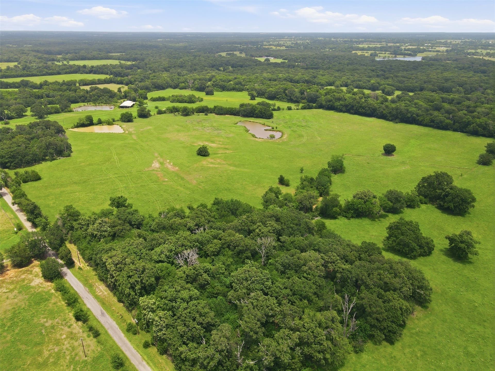 20 acres in Hopkins County - photo 6