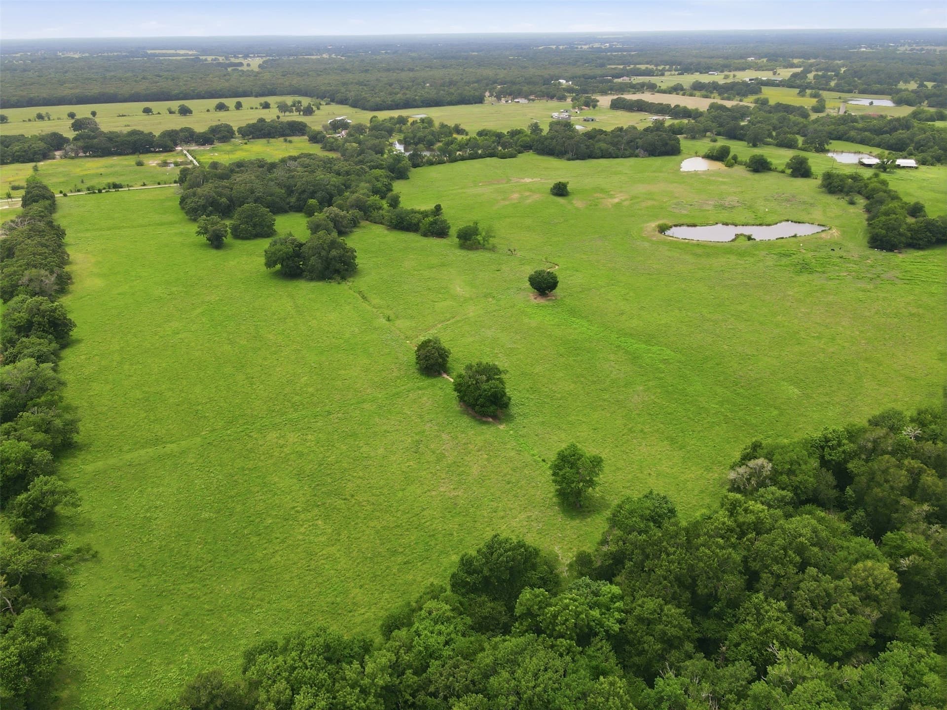 20 acres in Hopkins County - photo 10